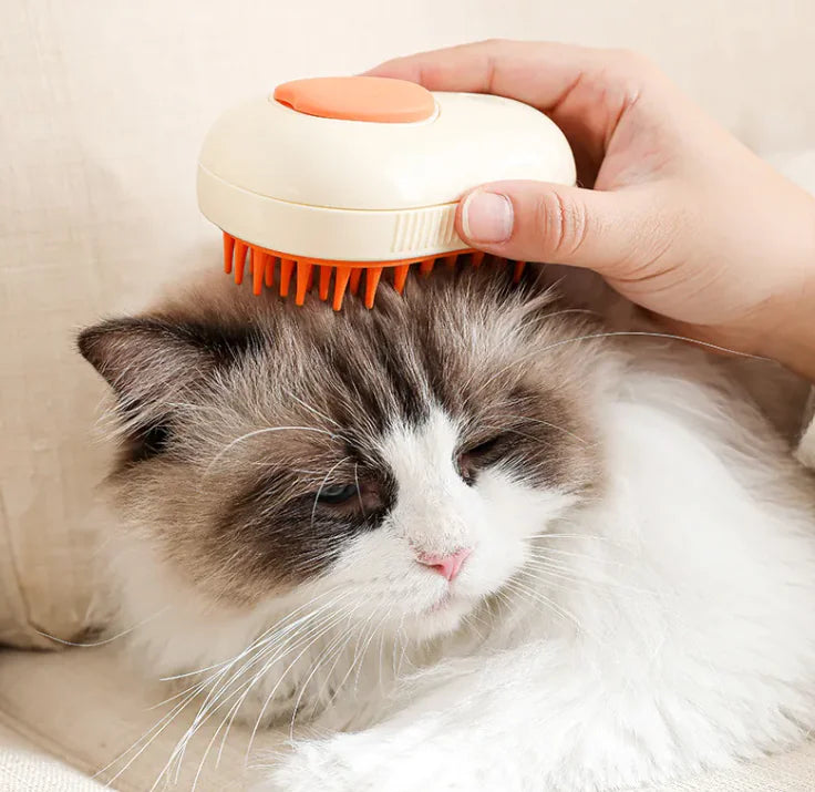 3-in-1 Steam Cat Hair Brush